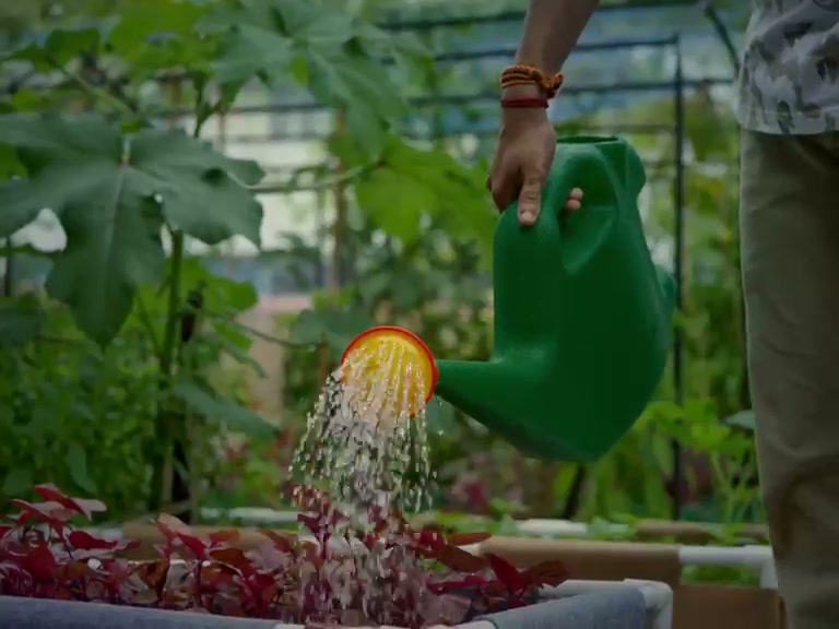 Plant & automate